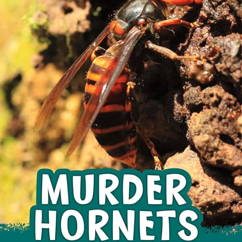 Cover of Murder Hornets