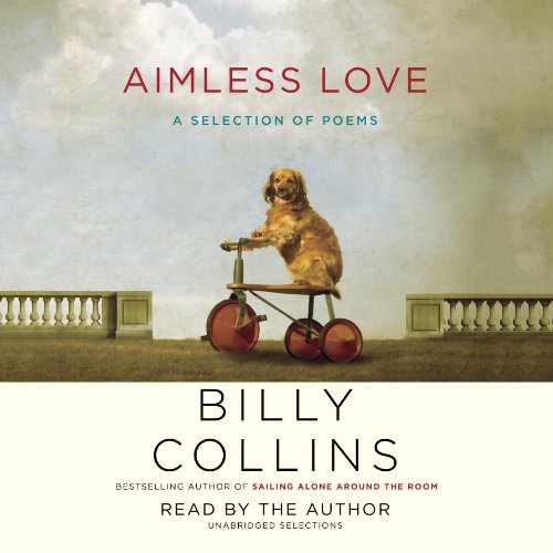Cover of Aimless Love