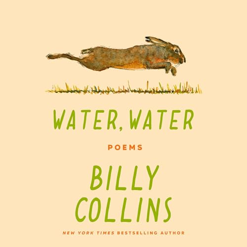 Cover of Water, Water
