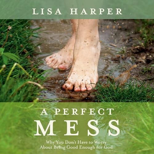 Cover of A Perfect Mess