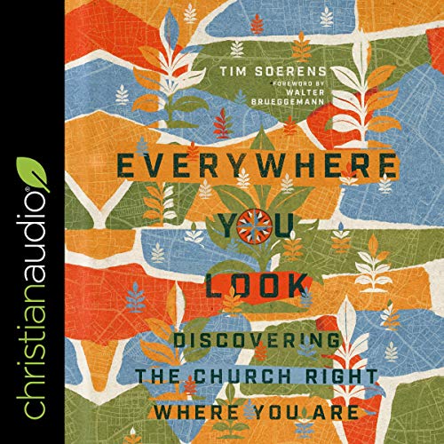 Cover of Everywhere You Look