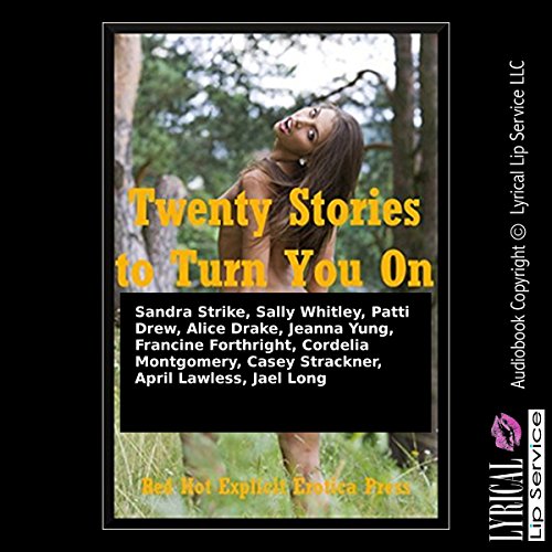 Cover of Twenty Stories to Turn You On