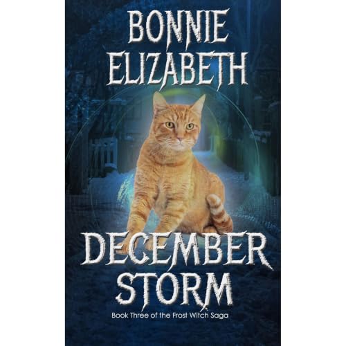 Cover of December Storm