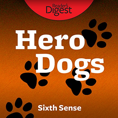 Cover of Sixth Sense