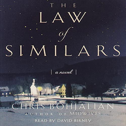 Cover of The Law of Similars