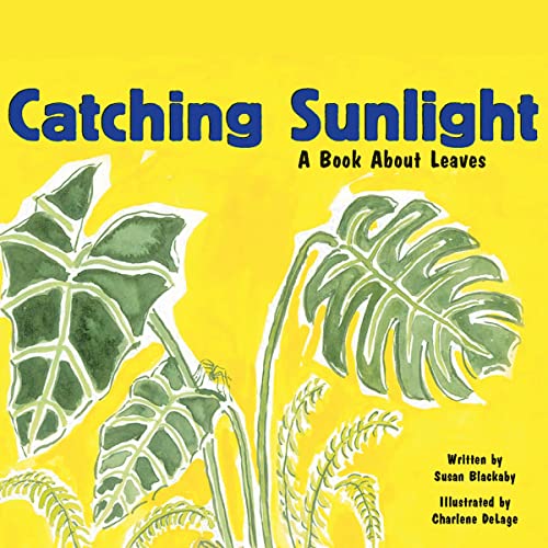 Cover of Catching Sunlight