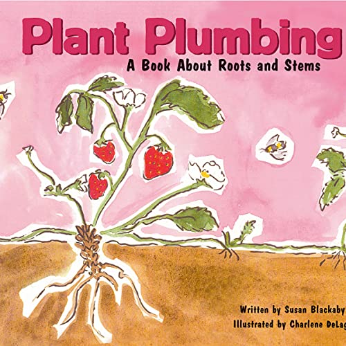 Cover of Plant Plumbing