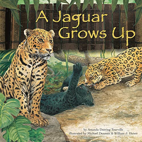 Cover of A Jaguar Grows Up