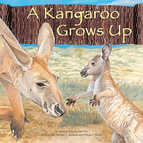 Cover of A Kangaroo Grows Up
