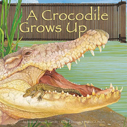 Cover of A Crocodile Grows Up