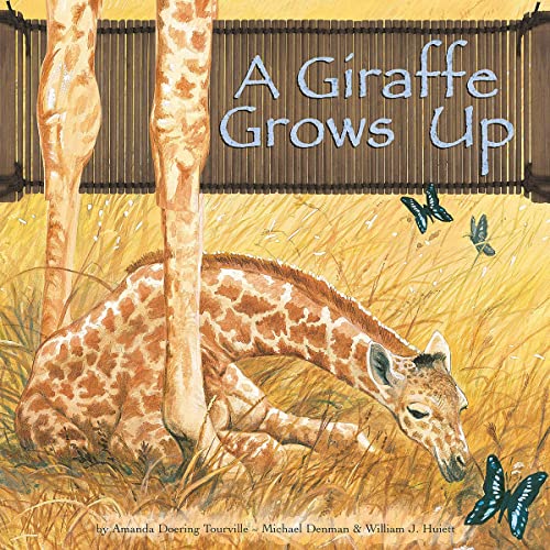 Cover of A Giraffe Grows Up