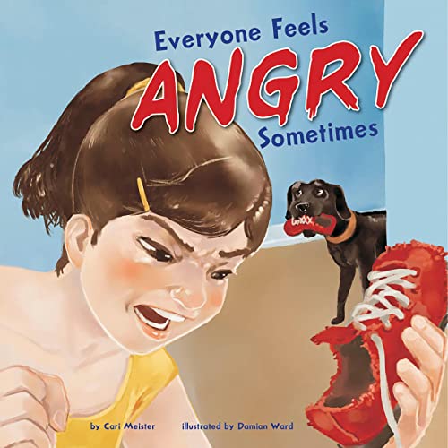 Cover of Everyone Feels Angry Sometimes