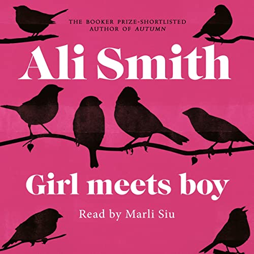 Cover of Girl Meets Boy