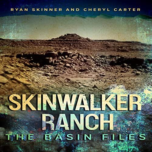 Cover of The Basin Files