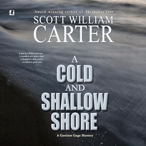 Cover of A Cold and Shallow Shore