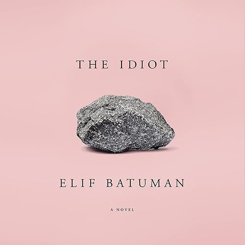 Cover of The Idiot