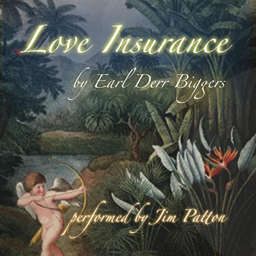 Cover of Love Insurance
