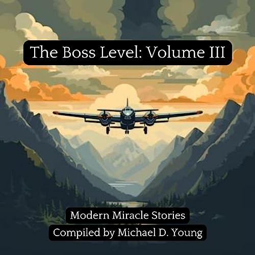 Cover of The Boss Level, Volume III
