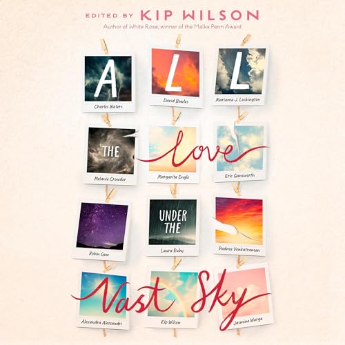 Cover of All the Love Under the Vast Sky