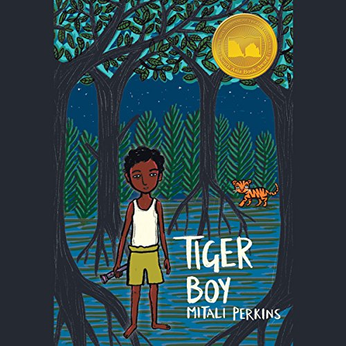 Cover of Tiger Boy