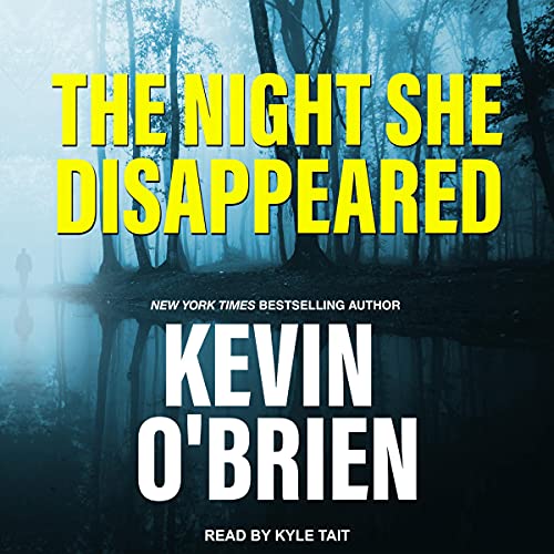Cover of The Night She Disappeared