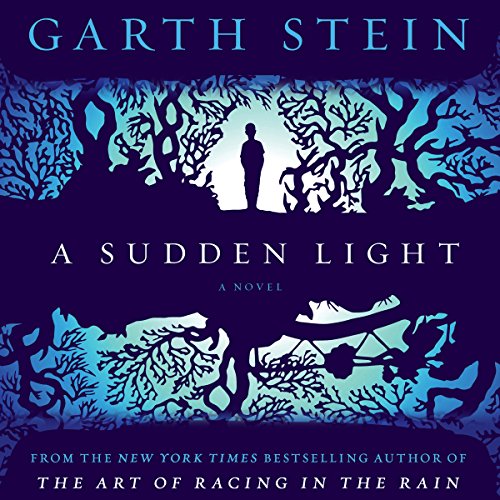 Cover of A Sudden Light