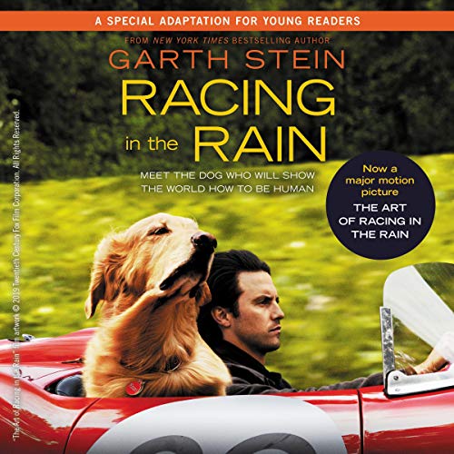 Cover of Racing in the Rain