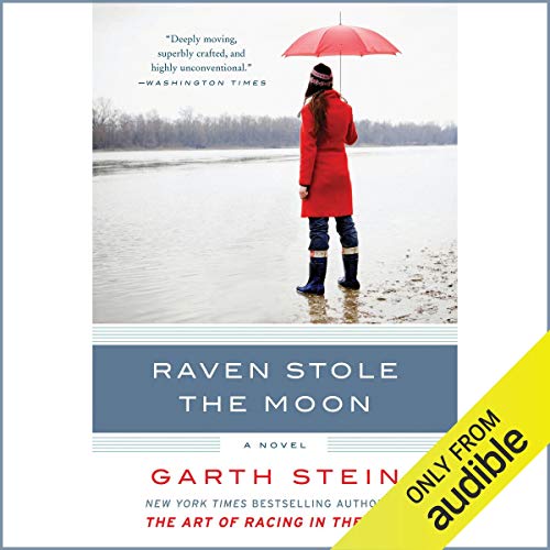 Cover of Raven Stole the Moon