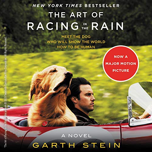 Cover of The Art of Racing in the Rain