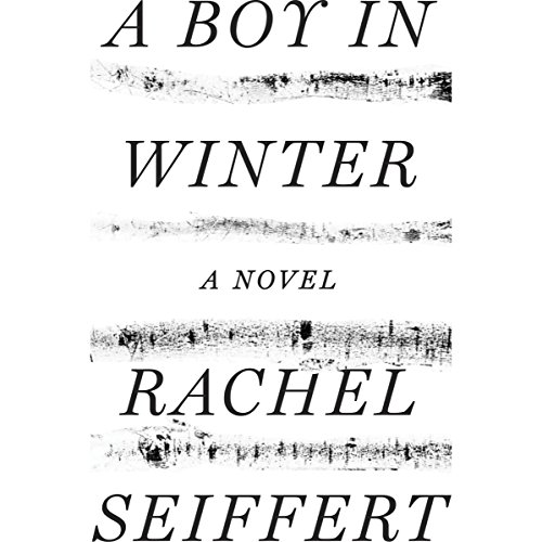 Cover of A Boy in Winter