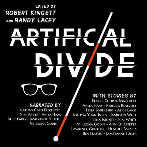 Cover of Artificial Divide