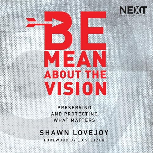 Cover of Be Mean About the Vision
