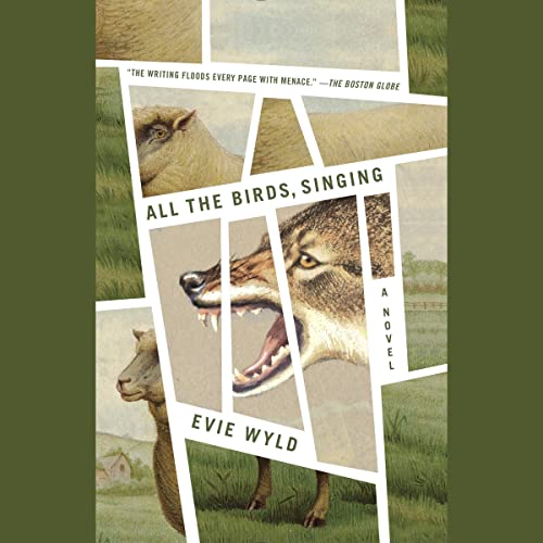 Cover of All the Birds, Singing