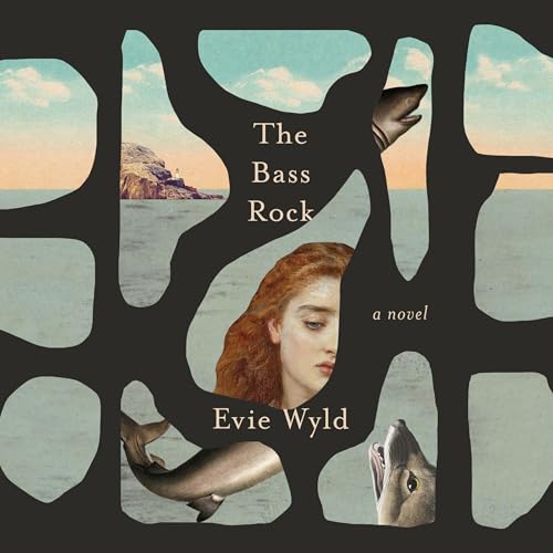Cover of The Bass Rock