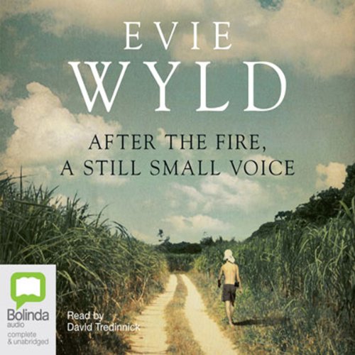 Cover of After the Fire, a Still Small Voice