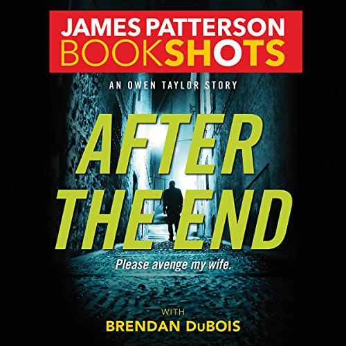Cover of After the End