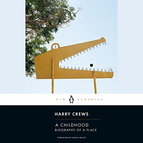 Cover of A Childhood