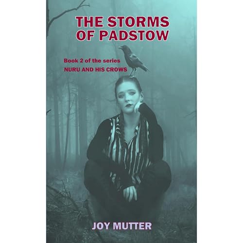 Cover of THE STORMS OF PADSTOW