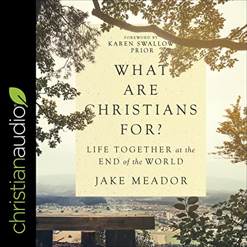 Cover of What Are Christians For?