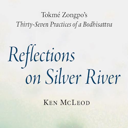 Cover of Reflections on Silver River