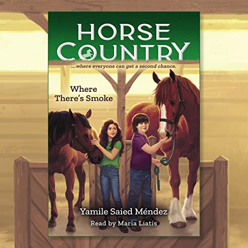 Cover of Where There's Smoke