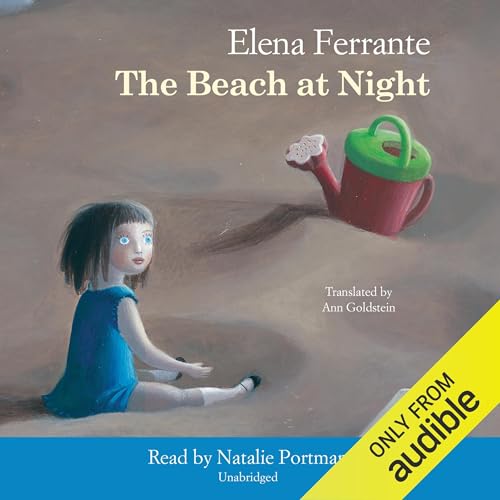 Cover of The Beach at Night