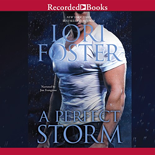Cover of A Perfect Storm