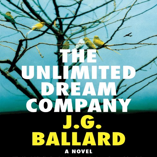 Cover of The Unlimited Dream Company