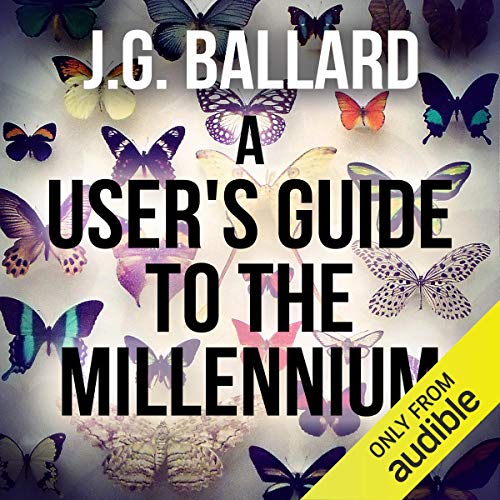 Cover of A User's Guide to the Millennium