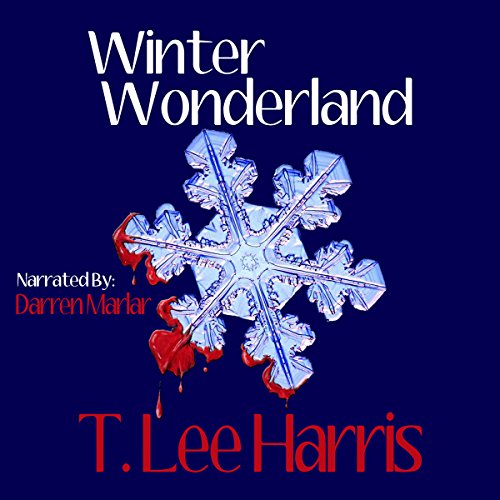 Cover of Winter Wonderland