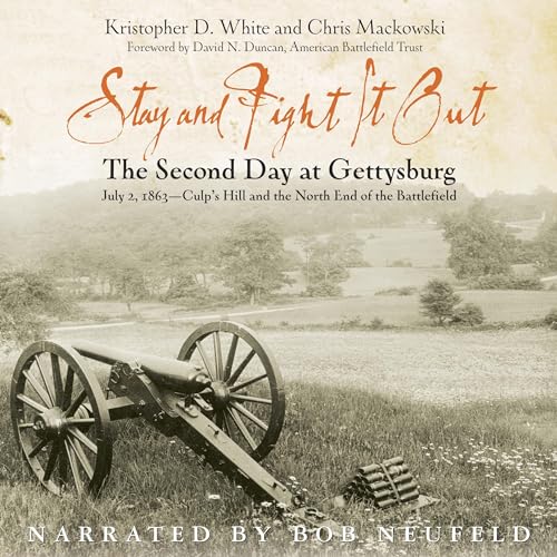 Cover of Stay and Fight It Out