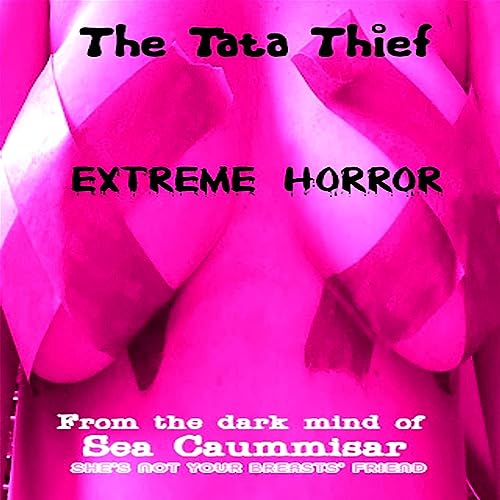 Cover of The Tata Thief
