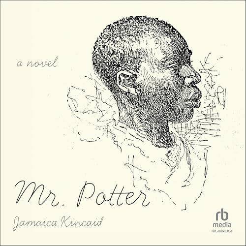 Cover of Mr. Potter
