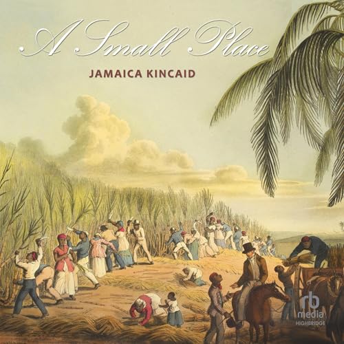 Cover of A Small Place